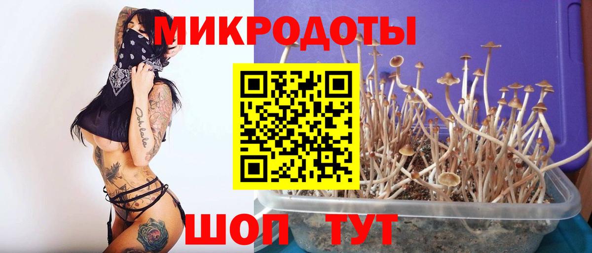 Галлюциногенные грибы ЛСД  Вход с VPN  Бийск 